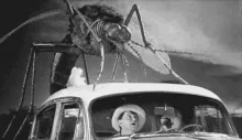 GIFs-202073001955.gif