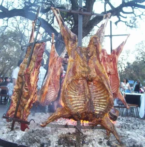 lamb chile.jpg