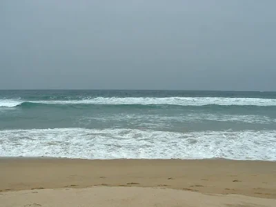 Sea-chile.jpg
