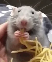 256944