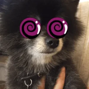 26BRLsZRbyHCxioFO.gif