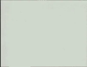 258137