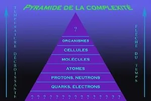 258431