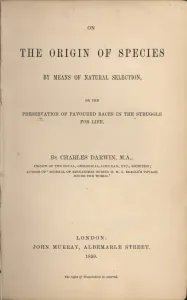 1596876818352.png