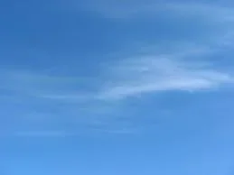 260775