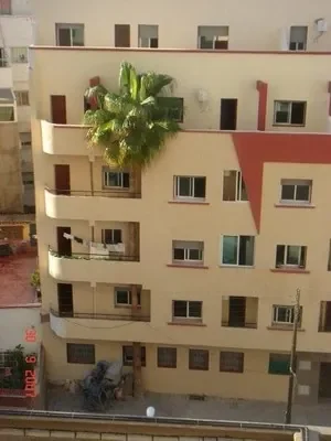 arbre-immeuble.jpg