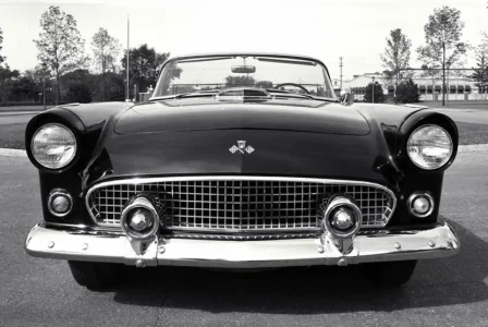 Ford_Thunderbird_1955.jpg