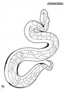 serpent-totem-source_wyj.jpg