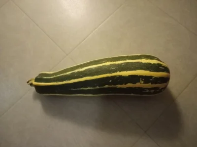 261575