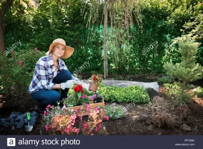 261578
