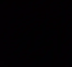 262335