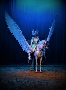 spirit_of_the_horse_pegasus_by_bluemoonwolfwarrior_dcjx709-fullview.jpg