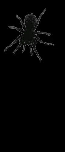 AFDLK5jU756dW.gif