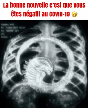 8D7C16DB-71B5-4D90-A468-DDD70600ECCB.png