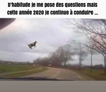 BDE4EF04-3267-4DC7-B8E3-91796757D6B9.png