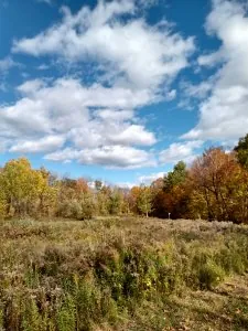 IMG_20201009_135458964_HDR.jpg