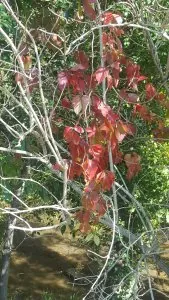 20201010_141759.jpg