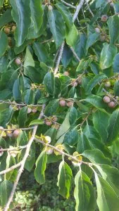 20201010_141619.jpg