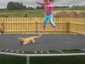 giphy (13).gif