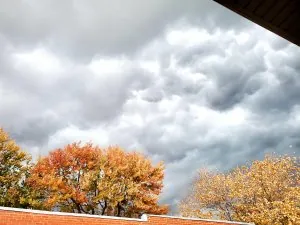20201010_180802.jpg