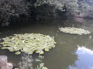 20200905_155156.jpg