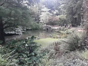 20200905_154436.jpg