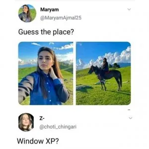 265753