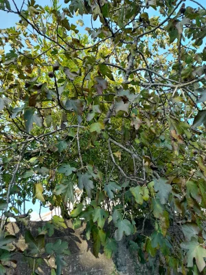 20201014_165337.jpg