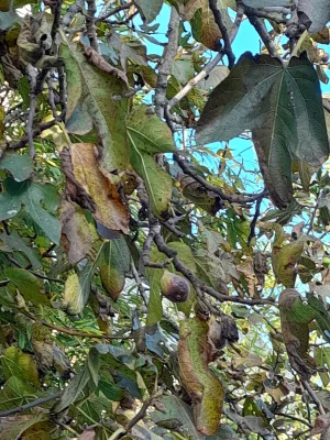 20201014_165402.jpg