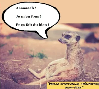 je-men-fous.jpg