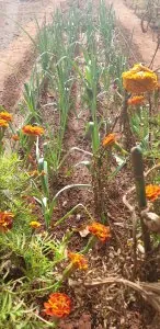 20201101_125512.jpg