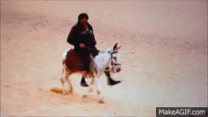 9_iJjd.gif