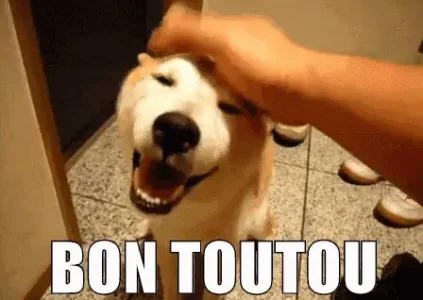 tenor (10).gif