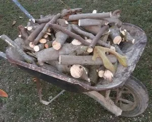 Karma.jpg