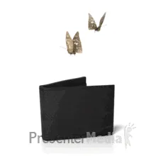 wallet_moths_flying_out_md_wm_v2.gif