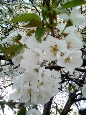 0753DA51-93DB-4121-A7DD-A3FC3D8428A7.jpeg