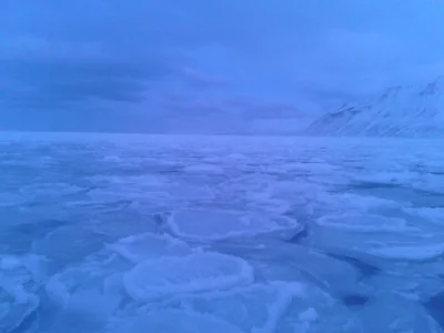 20150207_114917.jpg