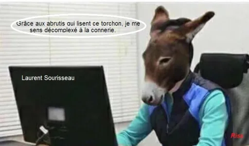 riss.jpg