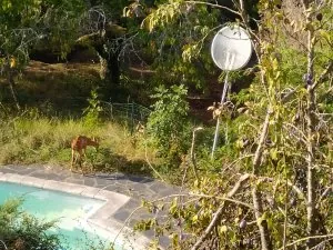 IMG_20200911_172507[1].jpg