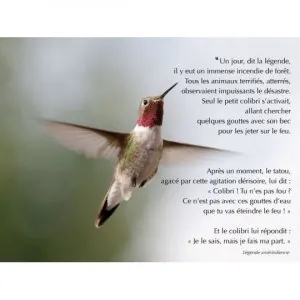 Vente de cartes et affiches avec citations de sagesse.jpeg