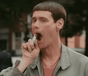 269504