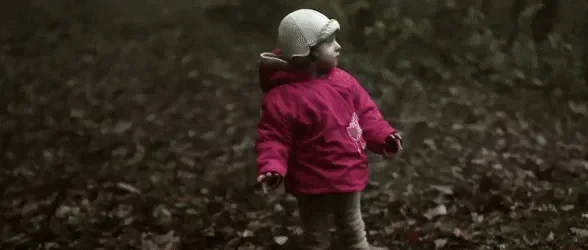 LikelyWateryLeafhopper-size_restricted.gif