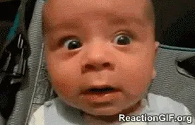 giphy-1.gif