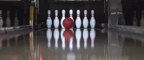 xUA7bgjXrufhjRbLgc.gif