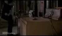 OddballDapperJavalina-small.gif
