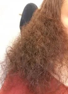 20201129_101819.jpg