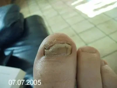 235230954_small.jpg