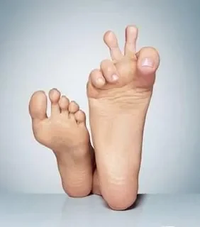 pieds2003.jpg