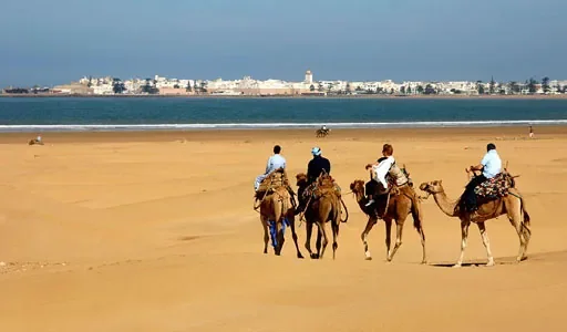 essaouira_plage.jpg