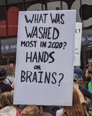 272113